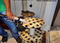 limpeza de cama de gato